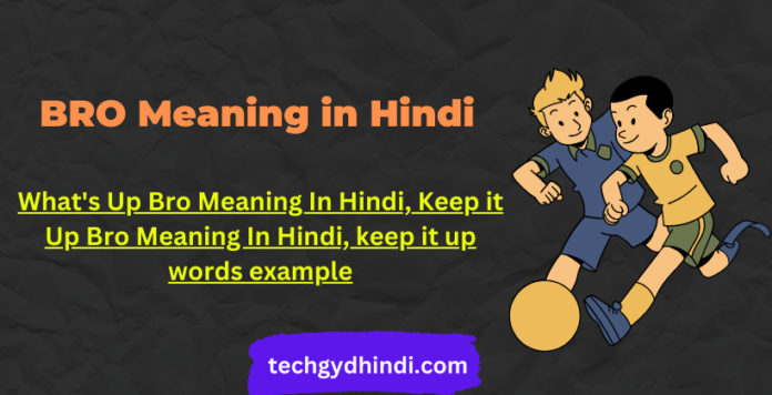 Bro Meaning in Hindi